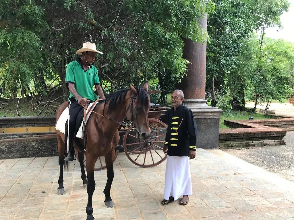 Aswadduma Hotel Dambulla 5*,  Sri Lanka
